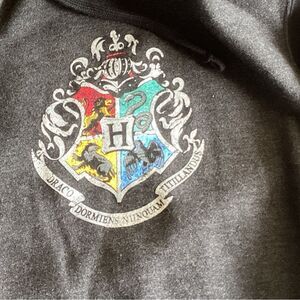 Harry Potter ,Hogwarts,  Black  Zip Up Black Hoodie 
Men’s Size XL
